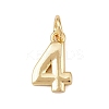 Brass Charms KK-G544-10G-04-1