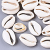 Natural Cowrie Shell Beads LS-X-SSHEL-N034-34-1