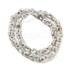 Handmade Milleflori Glass Beads Strands LAMP-M018-01A-03-2