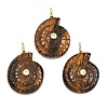 Natural Tiger Eye Pendants G-H353-02G-10-1