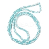 Frosted Crackle Glass Beads Strands GLAA-U001-4mm-M08-3