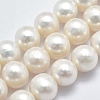 Natural Cultured Freshwater Pearl Beads Strands PEAR-K003-13A-1