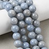 Natural Angelite Beads Strands G-G840-03-10mm-1