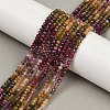 Natural Multicolor Tourmaline Beads Strands G-S388-A01-3x4mm-2