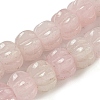 Natural Rose Quartz Beads Strands G-G142-A14-01-2