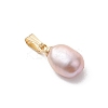 Natural Cultured Freshwater Pearl Potato Charms PALLOY-JF04844-4