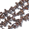 Natural Keshi Pearl Beads Strands PEAR-S021-130A-03-1
