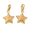 Star 304 Stainless Steel Pendants Decoratons STAS-K306-11G-1