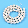 Natural Cultured Freshwater Pearl Beads Strands PEAR-N012-06Z-01-3