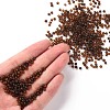 8/0 Glass Seed Beads SEED-A008-3mm-M13-4