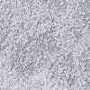 MIYUKI Round Rocailles Beads SEED-G009-RR0160-3