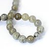 Natural Labradorite Round Bead Strands LS-G-E334-4mm-19-3