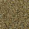 TOHO Round Seed Beads SEED-JPTR11-0998-2
