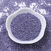 MIYUKI Delica Beads SEED-X0054-DB0250-2