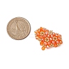 Handmade Glass Seed Beads PALLOY-MZ00341-03-2