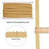 Polyester Wavy Lace Ribbons OCOR-WH0082-21B-2