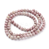Natural Rhodonite Beads Strands X-G-G099-6mm-33-2
