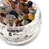 Natural Quartz Crystal Chips Tree of Life Decorations DJEW-Q010-01F-3