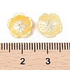 Natural Yellow Shell Carved Beads SSHEL-I026-12A-01-3