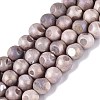 Ombre Effect Dyed Electroplate Opaque Glass Beads Strands EGLA-Q130-01A-03-1