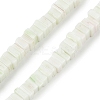 Handmade Lampwork Beads Strands LAMP-Q037-02B-19-1
