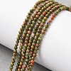 Natural Unakite Beads Strands G-Z116-A01-2mm-1