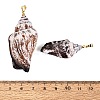 Brass & Natural Spiral Shell Big Pendants SHEL-Q029-29KCG-3