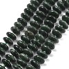 Natural Seraphinite Beads Strands G-A262-B02-01-2