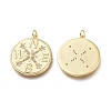 Brass Micro Pave Clear Cubic Zirconia Pendants ZIRC-I048-06G-2