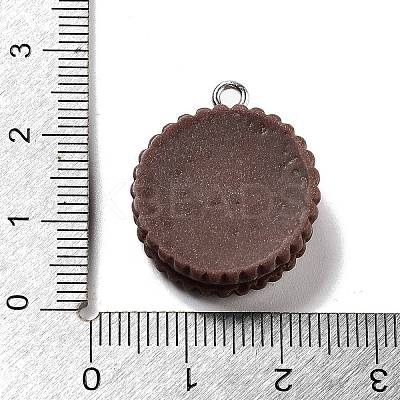 Cookies Theme Imitation Food Resin Pendants RESI-B021-02B-04-1