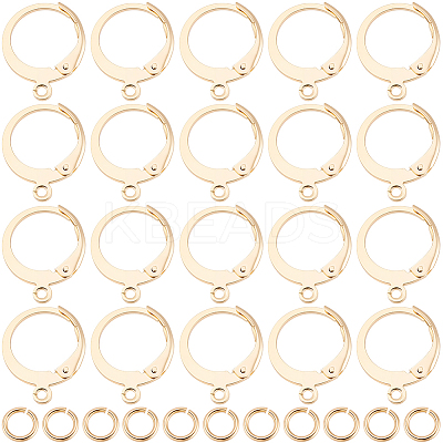 30Pcs 304 Stainless Steel Leverback Earring Findings STAS-BBC0009-21-1