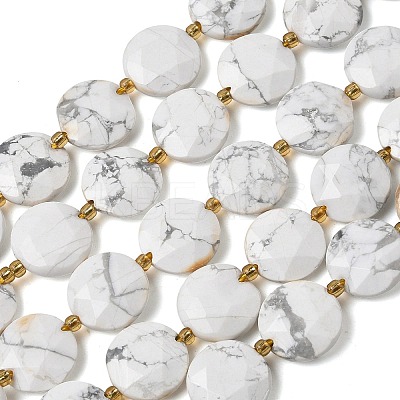 Natural Howlite Beads Strands G-A292-A03-01-1