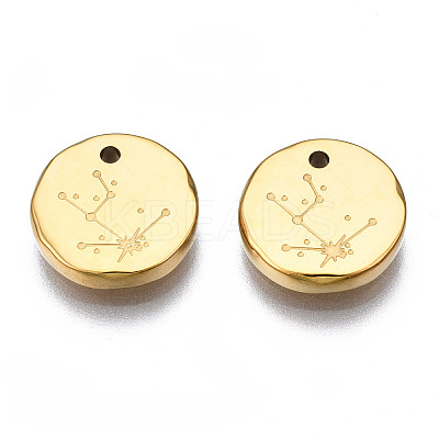 316 Surgical Stainless Steel Charms LS-STAS-S116-418A-G-1