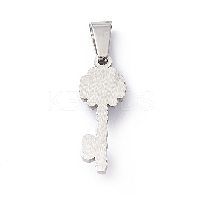 304 Stainless Steel Resin Pendants STAS-A062-14P-1
