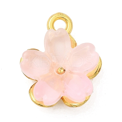 Alloy Glass Charms FIND-C079-05G-1