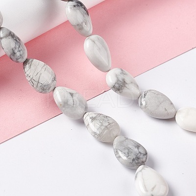 Natural Howlite Beads Strands G-L242-13-1