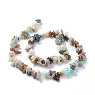 Natural Blue Opal Beads Strands G-L505-27-1