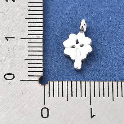 925 Sterling Silver Charms STER-S009-01B-S-1