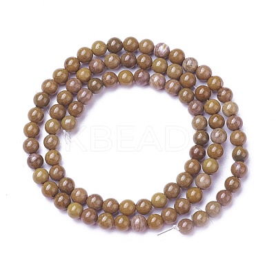 Natural Gemstone Beads Strands G-P424-D-4mm-1