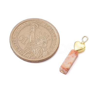 Natural Crazy Lace Agate/Map Stone/Flower Amazonite/Wood Lace Stone Rectangle Pendants PALLOY-JF02973-1