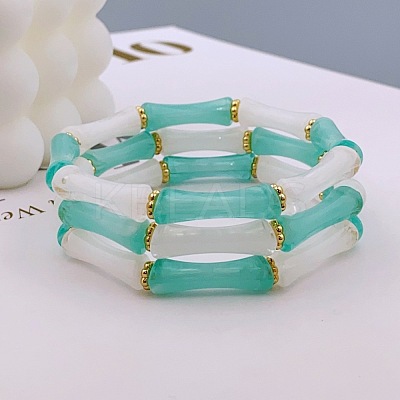 Acrylic Bamboo Joint Beaded Bracelets for Women FS-WG26A21-13-1