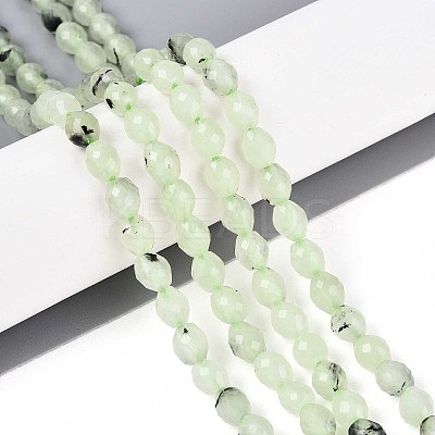 Natural Prehnite Beads Strands G-T142-82-1