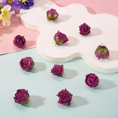10Pcs Preserved Rose Pendants KY-TA0001-59B-1