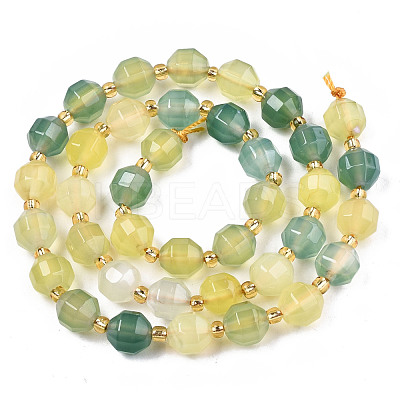 Natural Agate Beads Strands G-T131-82A-09-1