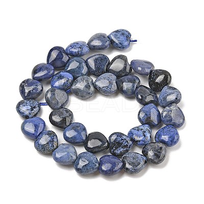Natural Dumortierite Beads Strands G-H005-C15-02-1