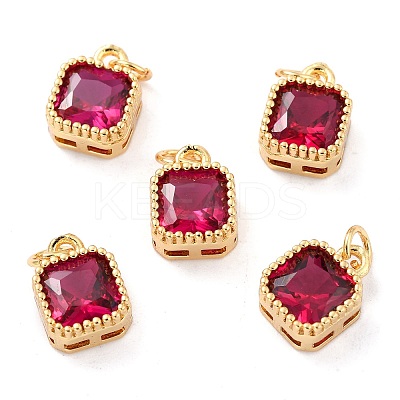 Real 18K Gold Plated Brass Inlaid Cubic Zirconia Charms ZIRC-L100-073G-04-1