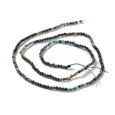 Natural HuBei Turquoise Beads Strands G-D080-A02-1