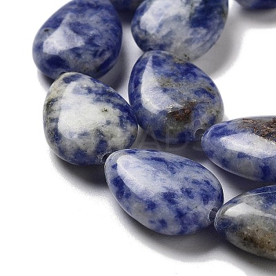 Natural Blue Spot Jasper Beads Strands G-P528-L17-01-1