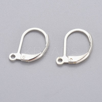 304 Stainless Steel Leverback Earring Findings STAS-H434-51S-1