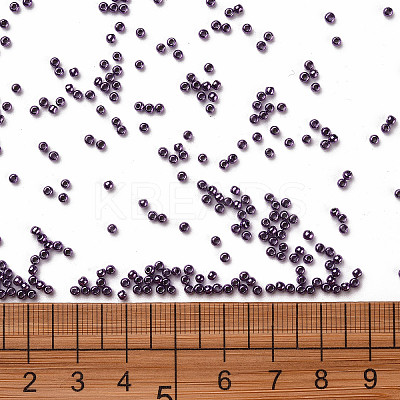 11/0 FGB Grade A Dyed Glass Seed Beads X-SEED-N001-C-0565-1